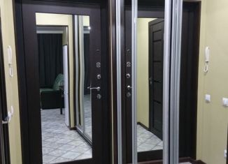 Аренда квартиры студии, 27 м2, Мурино, бульвар Менделеева, 2к2, ЖК Виктория