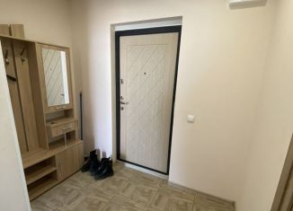 Сдаю 1-комнатную квартиру, 50 м2, Томск, Большая Подгорная улица, 87блок7, ЖК Большая Подгорная