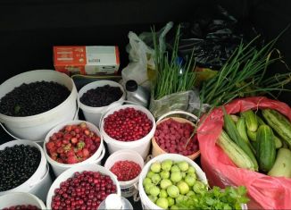 Дача на продажу, 20 м2, коллективный сад № 11