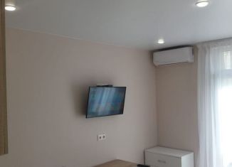 Квартира на продажу студия, 23 м2, посёлок городского типа Сириус, Весёлая улица, 28Б