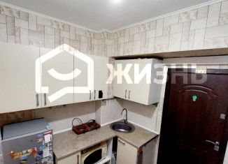 Продается квартира студия, 19 м2, Екатеринбург, Донбасская улица, 35, метро Машиностроителей