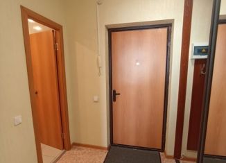 Сдам квартиру студию, 34 м2, Сосновоборск, проспект Мира, 5