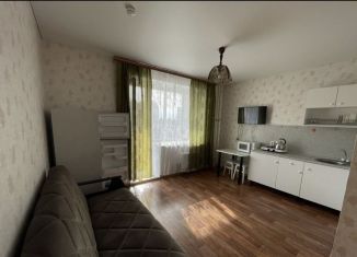 Продается квартира студия, 22 м2, Копейск, улица Кожевникова