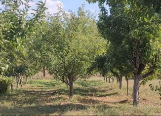 Продается дом, 30 м2, село Заплавное, Садовая улица