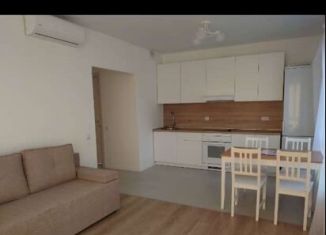 Сдам в аренду 3-ком. квартиру, 60.6 м2, Люберцы, улица Лётчика Ларюшина, 12, ЖК Жулебино Парк