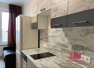 Сдается 1-ком. квартира, 43 м2, деревня Раздоры, улица Липовой Рощи, 6к1