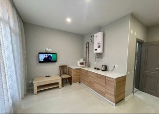 Продам 1-ком. квартиру, 25 м2, Сочи, улица Метелёва, 1, микрорайон Яна Фабрициуса