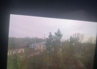 Продажа 1-ком. квартиры, 400 м2, Коркино, улица 30 лет ВЛКСМ