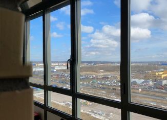 Продаю квартиру студию, 26.5 м2, посёлок Парголово, Толубеевский проезд, 26к1, ЖК Северная Долина