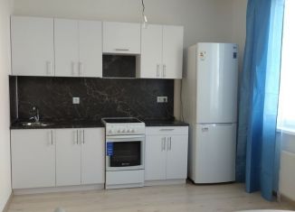 Сдам 3-ком. квартиру, 60 м2, деревня Анкудиновка, Русская улица, 17