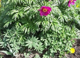 Продается дом, 30 м2, Краснотурьинск, Центральная улица