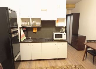 Сдам квартиру студию, 25 м2, Мурино, Воронцовский бульвар, 6, ЖК Гринландия