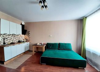 Продаю квартиру студию, 26 м2, Мытищи, Тенистый бульвар, 5