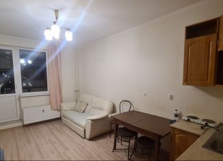 Сдаю в аренду квартиру студию, 25.5 м2, Мурино, Охтинская аллея, 4, ЖК Мой Город