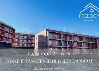 Продам квартиру студию, 19.3 м2, рабочий поселок Маркова, микрорайон Берёзовый, 253