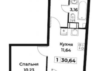 Продаю 1-ком. квартиру, 30.6 м2, Мурино, Екатерининская улица, 30, ЖК Авиатор