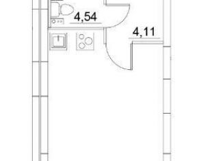 Продаю квартиру студию, 31 м2, Санкт-Петербург, муниципальный округ Звёздное, Звёздная улица, 3к1