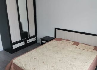 Сдаю в аренду 2-комнатную квартиру, 65 м2, поселок Бугры, Гаражный проезд