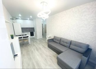 Сдается в аренду однокомнатная квартира, 40.1 м2, Ижевск, Районная улица, 57к2