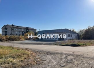 Сдаю торговую площадь, 377 м2, Алтайский край, Первомайская улица, 92