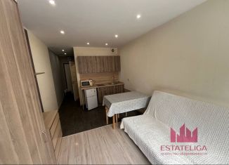 Продаю квартиру студию, 19 м2, рабочий посёлок Лопатино, Сухановская улица, 13, ЖК Государев Дом