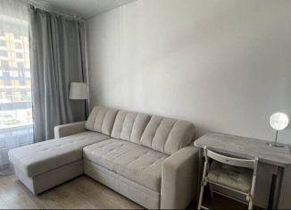 Сдается в аренду квартира студия, 20 м2, Люберцы, улица Лётчика Ларюшина, 4к2, ЖК Жулебино Парк