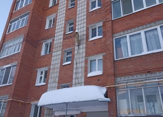 2-комнатная квартира на продажу, 50.3 м2, Пермский край, Большевистская улица, 58