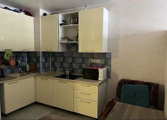 Аренда 2-комнатной квартиры, 47 м2, Балашиха, улица Ситникова, 2, ЖК Новогиреевский