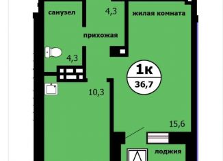 Продается 1-комнатная квартира, 36.7 м2, Красноярск, Свердловский район