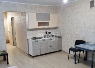 Квартира в аренду студия, 40 м2, Новосибирск, Вилюйская улица, 9, ЖК Ваш выбор