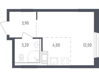 Продажа квартиры студии, 23.1 м2, посёлок Песочный