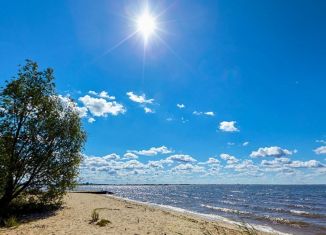 Продаю земельный участок, 10 сот., село Тимонькино, село Тимонькино, 8