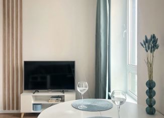 Сдаю в аренду квартиру студию, 27 м2, Люберцы, улица Лётчика Ларюшина, 6, ЖК Жулебино Парк