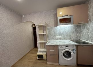 Квартира в аренду студия, 18 м2, Новгородская область, Большая Московская улица, 114к4