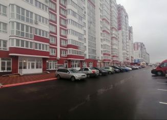 Сдаю в аренду помещение свободного назначения, 190 м2, Брянск, улица имени А.Ф. Войстроченко, 8, Советский район