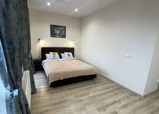 Сдается квартира студия, 31 м2, Петрозаводск, улица Попова, 13