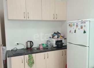 Сдам квартиру студию, 29.4 м2, Екатеринбург, Черниговский переулок, 12