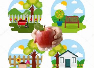 Дача на продажу, 10 м2, Брянская область