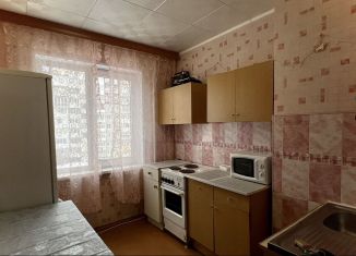 1-ком. квартира в аренду, 30 м2, Мурманск, улица Героев Рыбачьего, 44