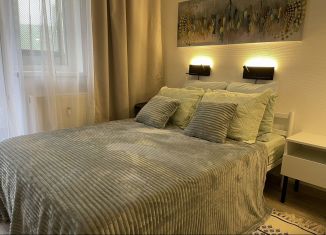 Сдается квартира студия, 20 м2, Мурино, Воронцовский бульвар, 21к1