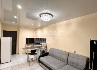 Продам квартиру студию, 23 м2, село Михайловка, Сливовая улица, 3