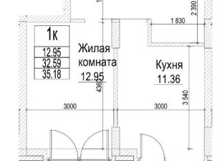 Продается 1-ком. квартира, 35.2 м2, Новосибирск, метро Красный проспект