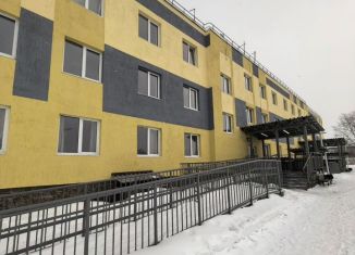 Продажа квартиры студии, 27.4 м2, Пермский край, Садовая улица, 3А