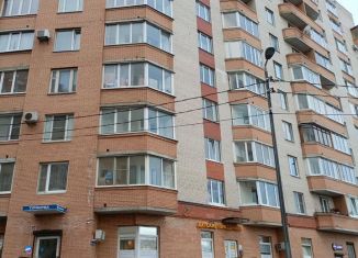 Продажа 1-ком. квартиры, 47.1 м2, Санкт-Петербург, Дачный проспект, 2к1, Кировский район