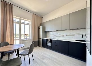 Аренда 2-комнатной квартиры, 60 м2, Санкт-Петербург, набережная реки Каменки, 3к3, метро Проспект Просвещения