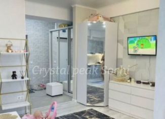 Сдается в аренду 2-ком. квартира, 41 м2, Сочи, Пасечная улица, 30, микрорайон Донская