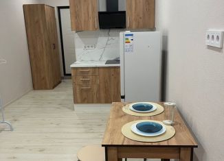 Сдаю в аренду квартиру студию, 25 м2, село Орёл-Изумруд, улица Лазурная Долина, 193А