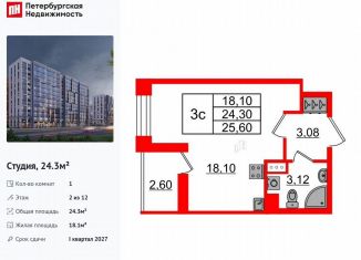 Продам квартиру студию, 24.3 м2, Санкт-Петербург, Приморский район