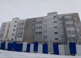 Продается 1-ком. квартира, 40.7 м2, посёлок Большое Исаково