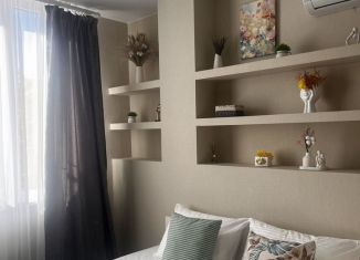 Аренда квартиры студии, 27 м2, Сочи, Фермерский переулок, 24, микрорайон Энергетик-Изумруд